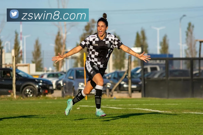 钻石娱乐官网平台生态图